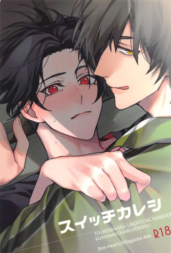 Switch Kareshi cover