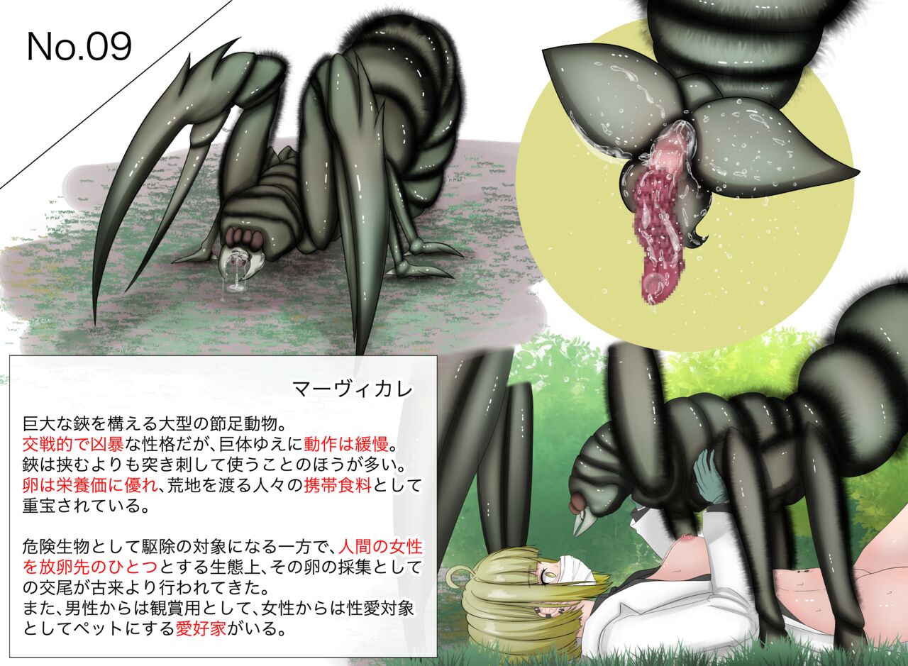 蟲研究レポート_No.09 page 1 full