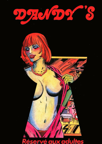 Dandy's N002 - Un vol presque parfait cover