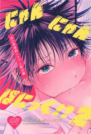 Nyan Nyan Panic!? 2 ~Yoru no Hatsujouki Trouble Kaiketsu Hen~ cover
