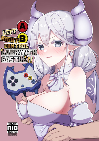Left Right AB Control Labrynth Castle!! cover