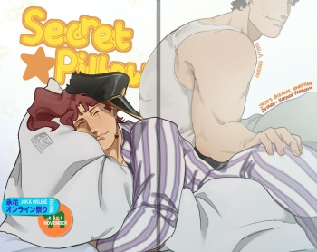 Secret Pillow cover