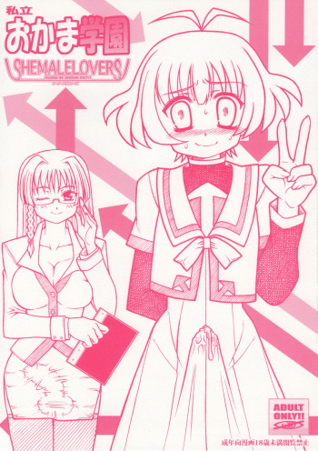 SHEMALELOVERS Vol.14 cover