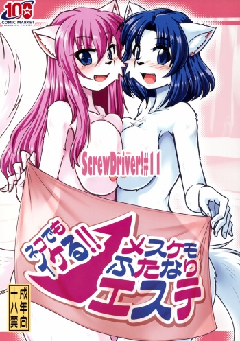 Screw Driver!#11 cover