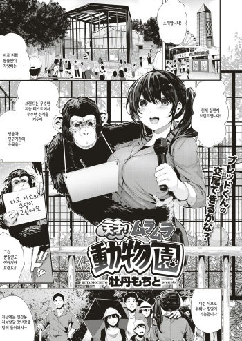 Tensai! Muramura Doubutsuen | 천재! 불끈불끈 동물원 cover