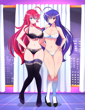 High School DxD Collection cover