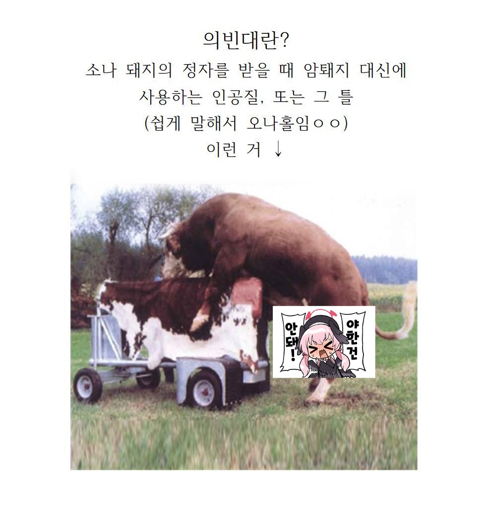 Gihindai no Aura | 의빈대의 아우라 page 4 full