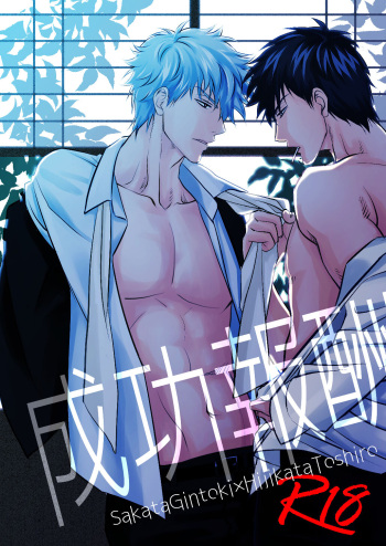 Seikou Houshuu cover