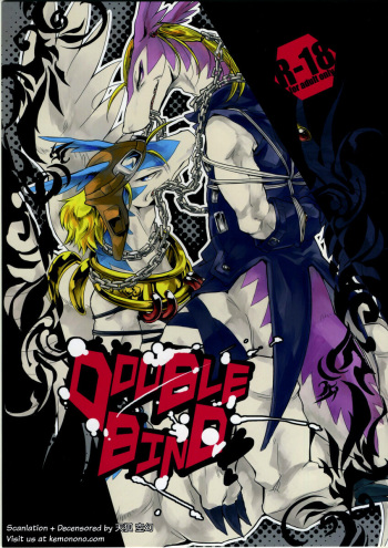 Double Bind cover