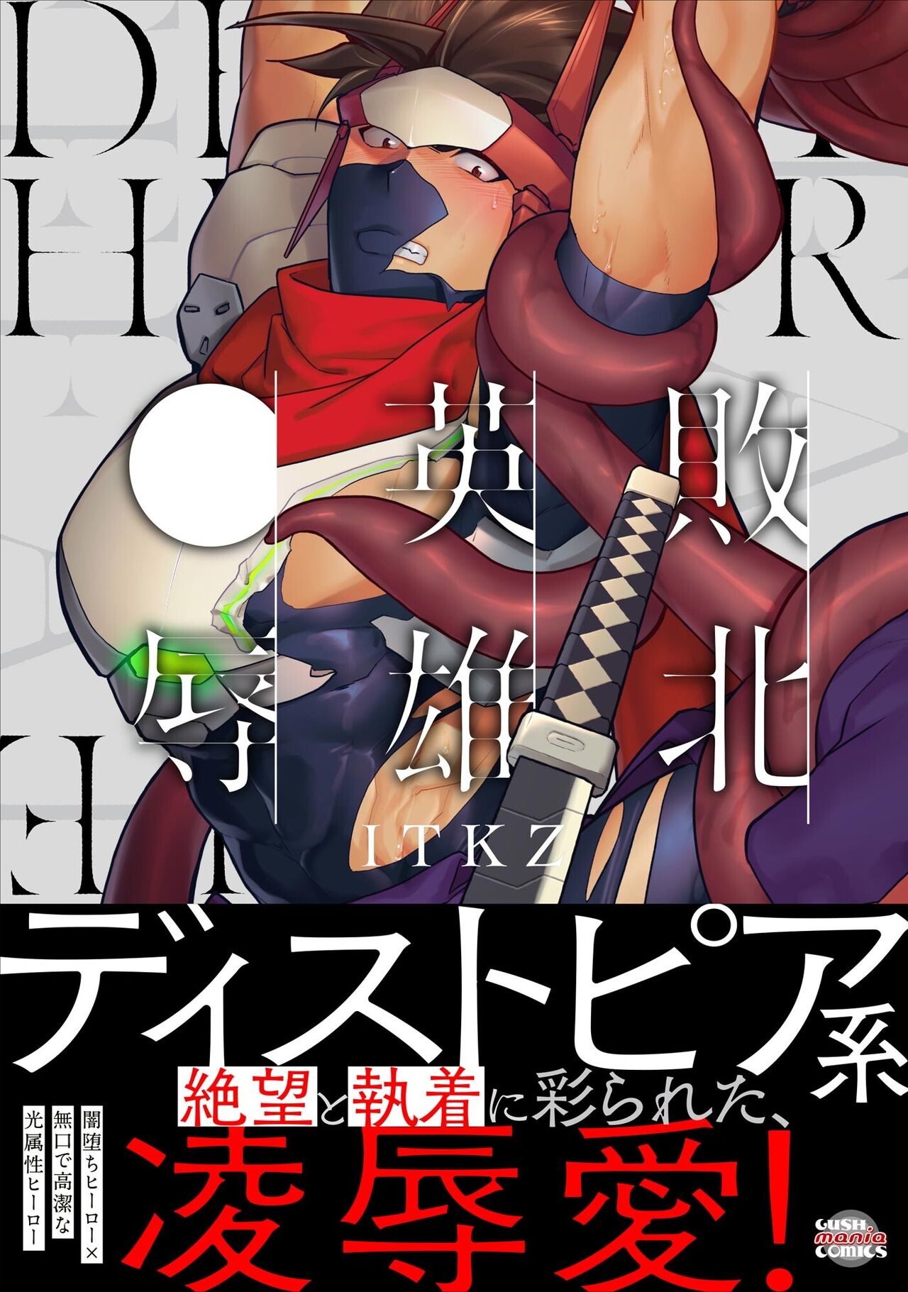 Haiboku Eiyuu, Ryoujoku Sairokushu | 败北英雄、凌辱 再录集 page 1 full