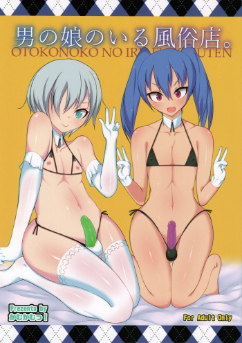 ンマッセ 男の娘のいる風俗店。 cover
