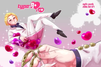Type - B ⁺ cover