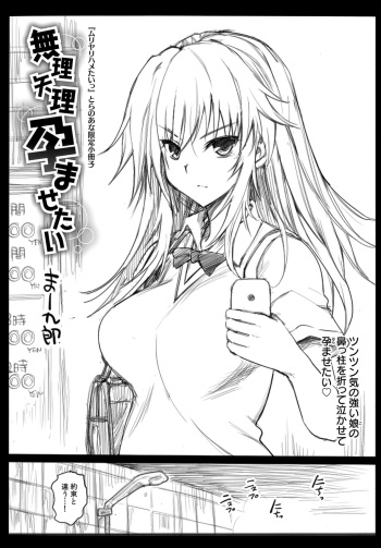Muriyari Hametai Toranoana Gentei Shousasshi Muriyari Haramasetai cover