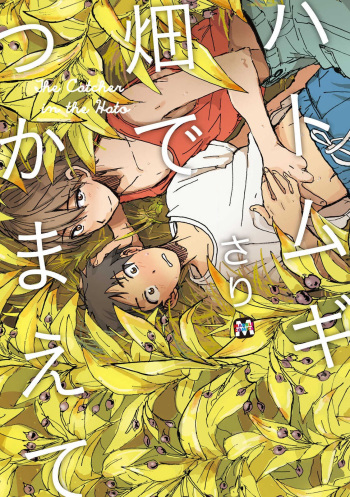 Hatomugi Batake de Tsukamaete - The Catcher in the Hato cover