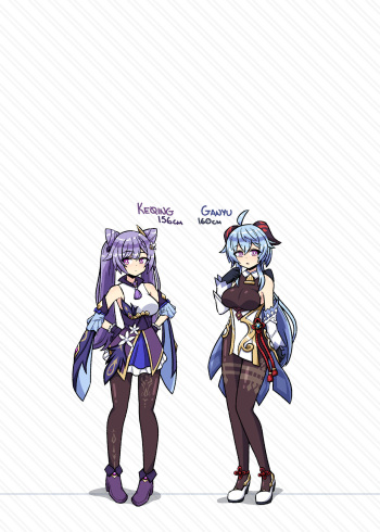 Height Transfer - Poll cover