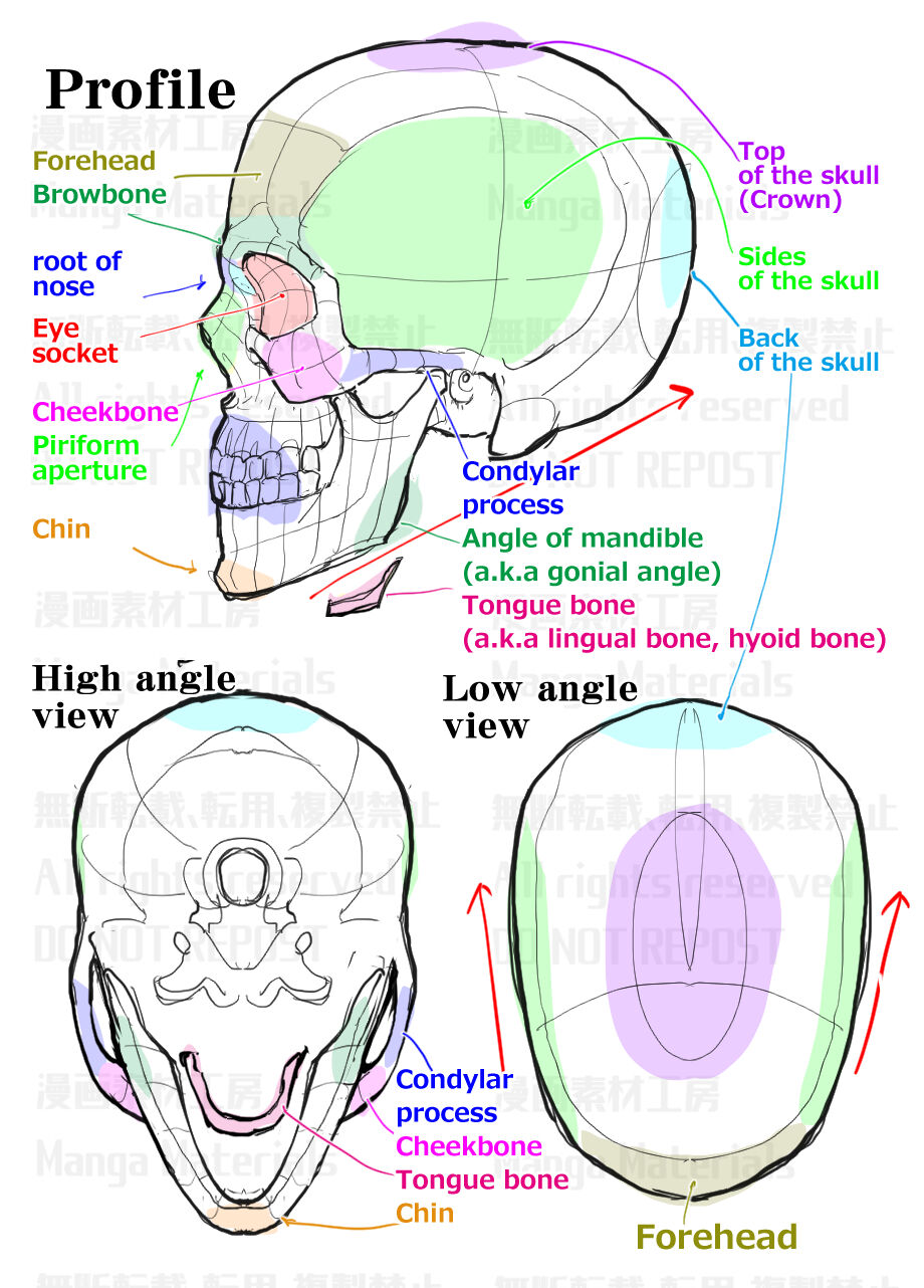 Manga Materials Patreon Releases Part 2 page 5 full