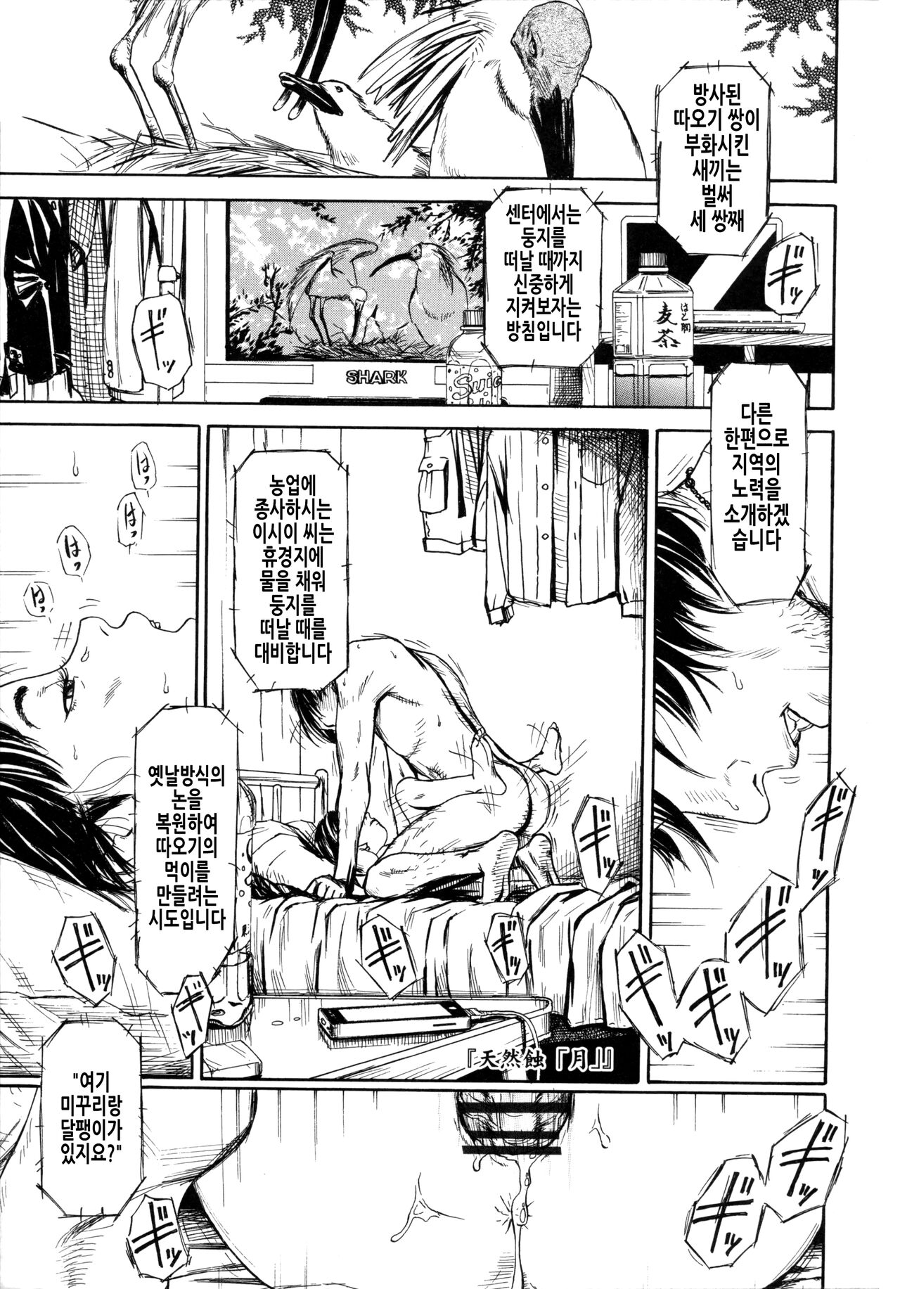 Shofu Hakkei | 소부 팔경 page 7 full