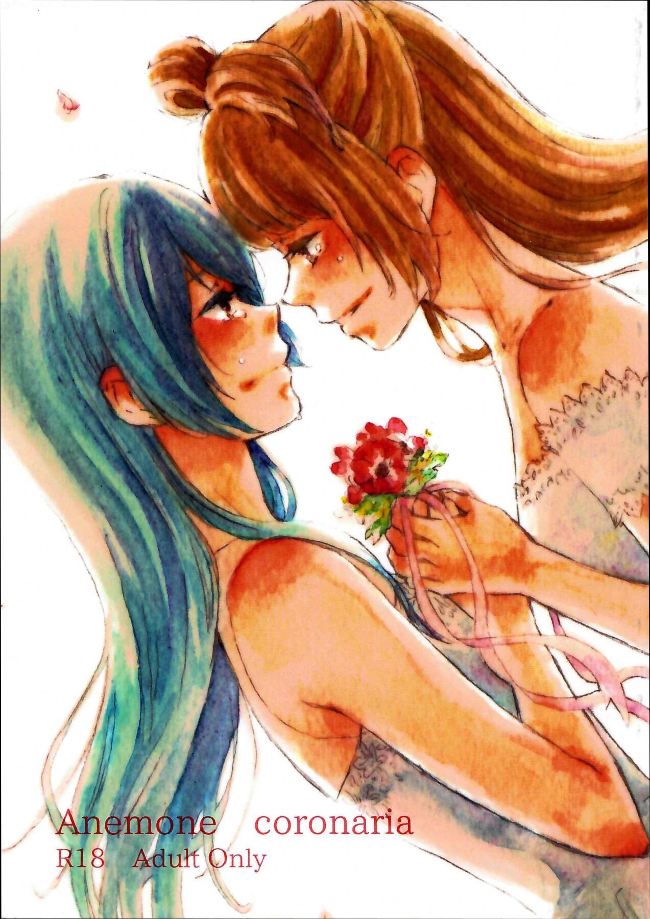 Anemone coronaria page 1 full