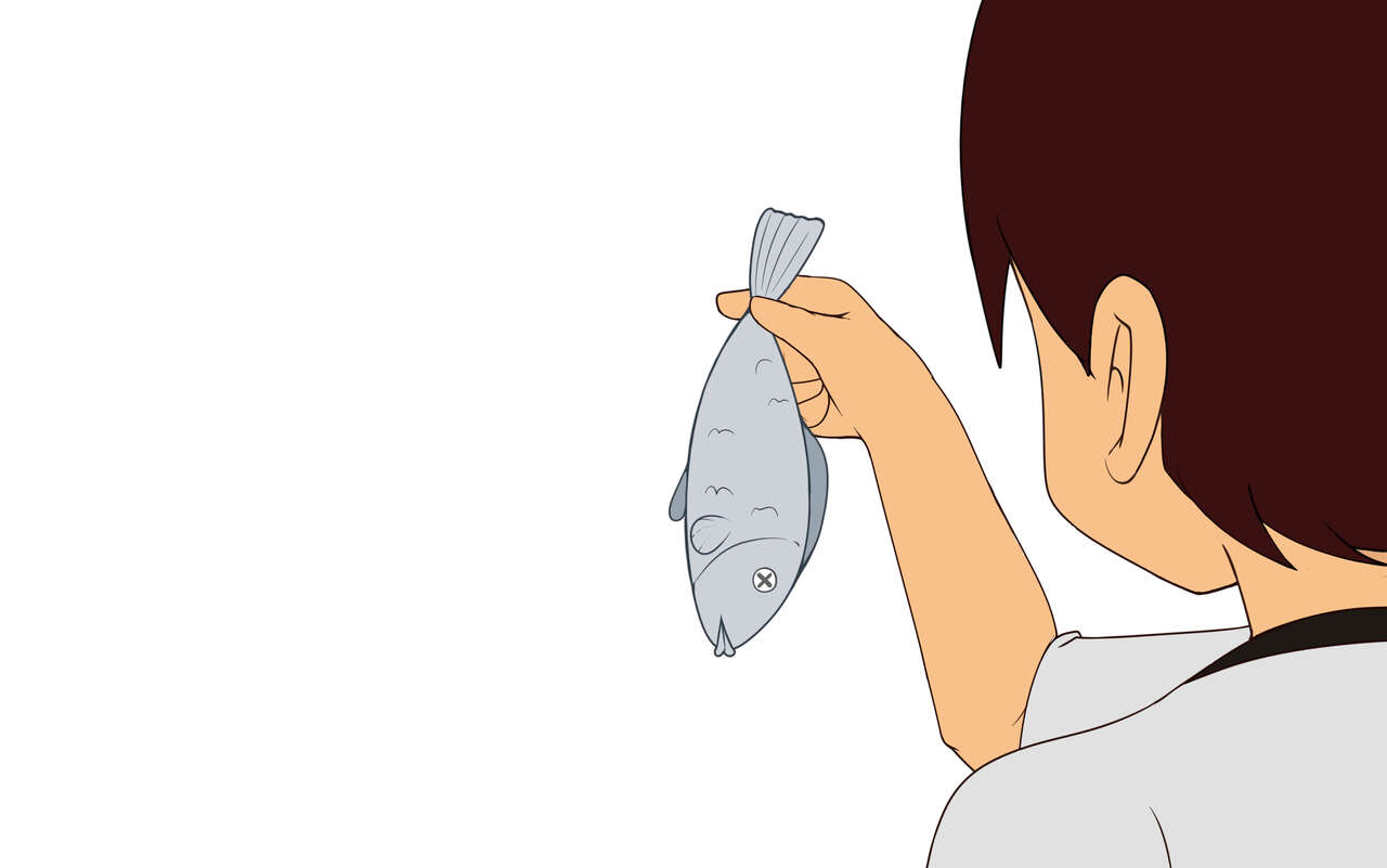 Mity Gallery &amp; Archive 4 page 1 full