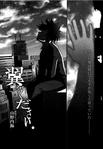 Tsubasa o Kudasai. cover