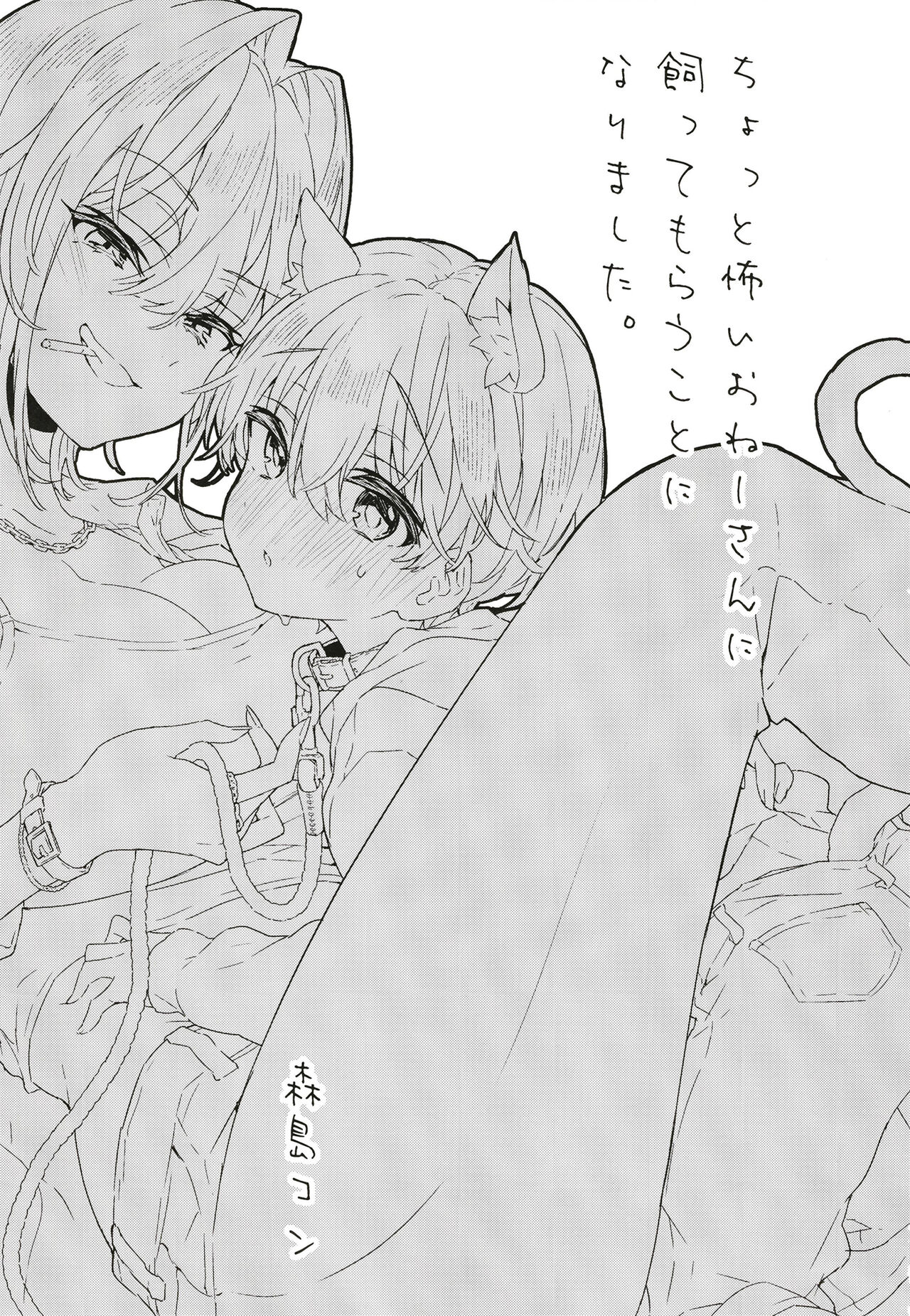 Chotto Kowai Onee-san ni Katte morau Koto ni Narimashita. | 살짝 무서운 누나에게 보살핌 받게 되었습니다. page 2 full