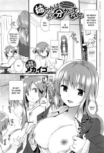 Nee-chan wa yoku wakattenai. | My Older Sister Doesn't Really Understand. Ch. 1-3 cover