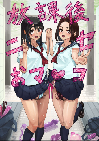 Onahole After School cover