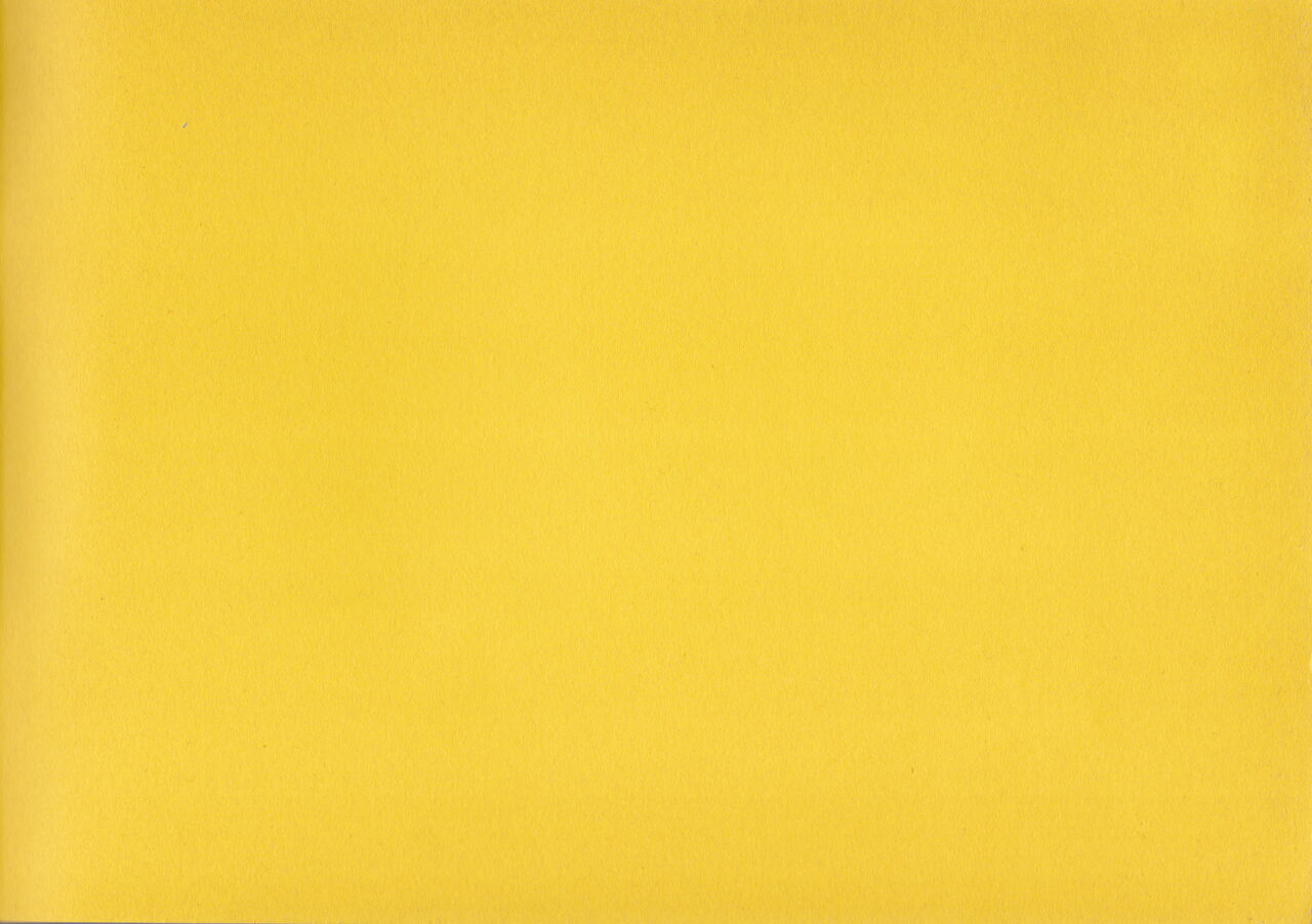 Shigeto Koyama - Yellow page 2 full