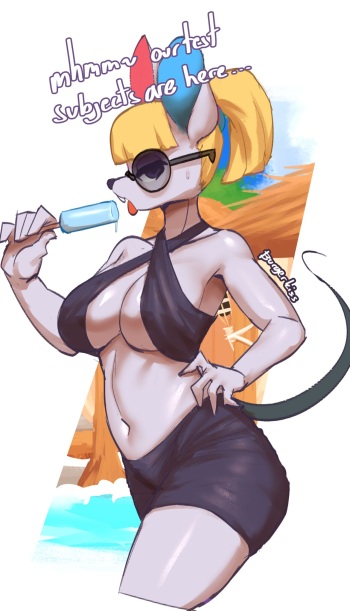 Petri Summer cover
