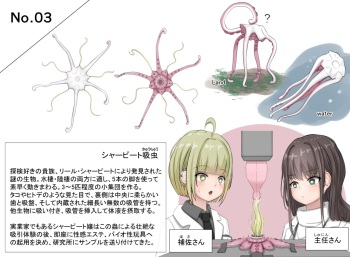 Insect research report No.03 cover