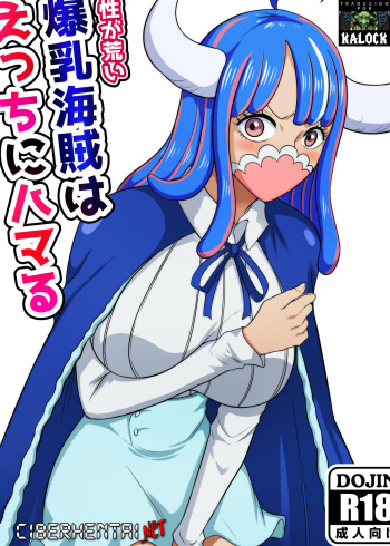 Kishou ga Arai Bakunyuu Kaizoku wa Ecchi ni Hamaru cover