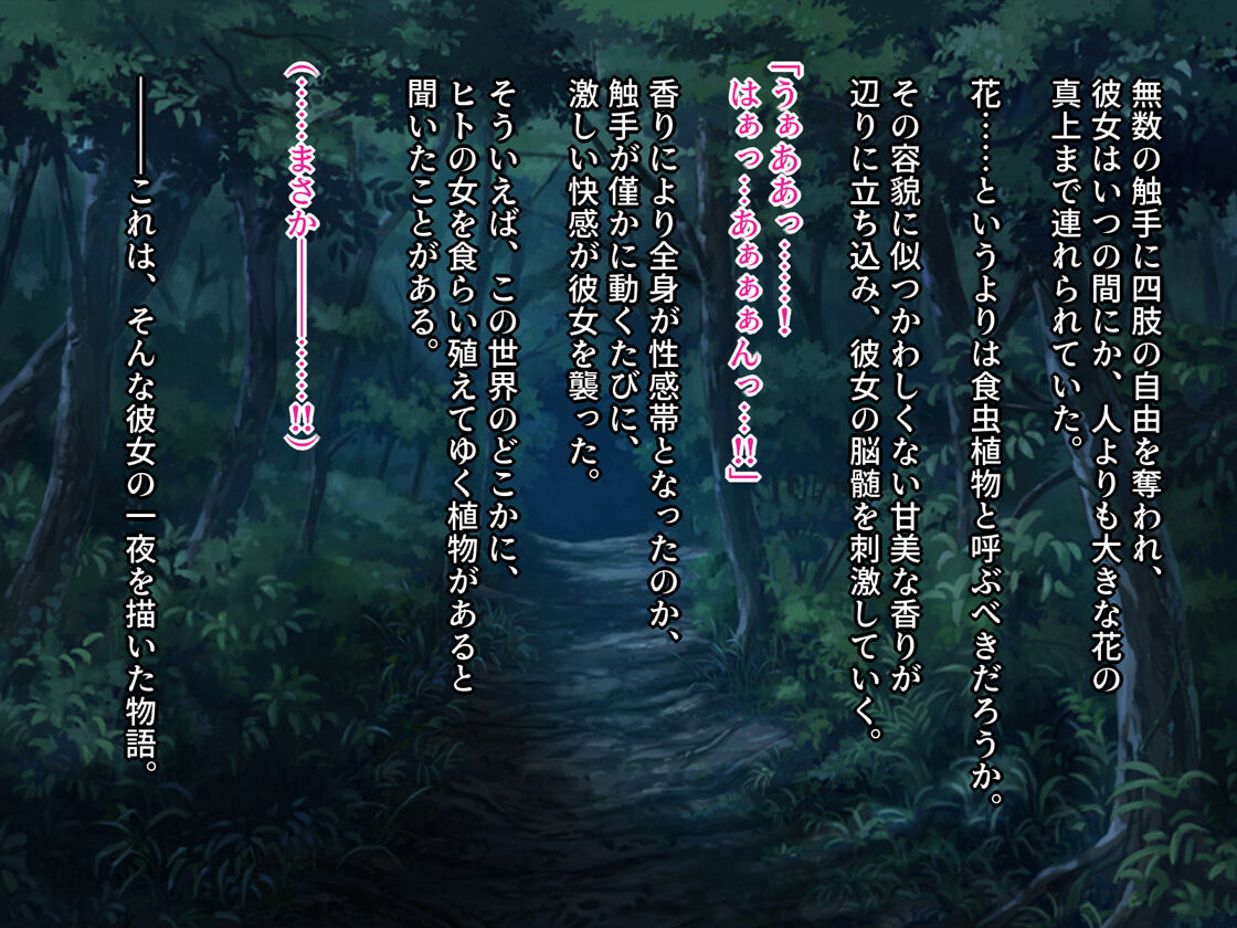 Hana ni Ochita Kyoukan Remaster ~Shokushu no Ejiki to Natta Elf no Senshi Chou~ page 3 full