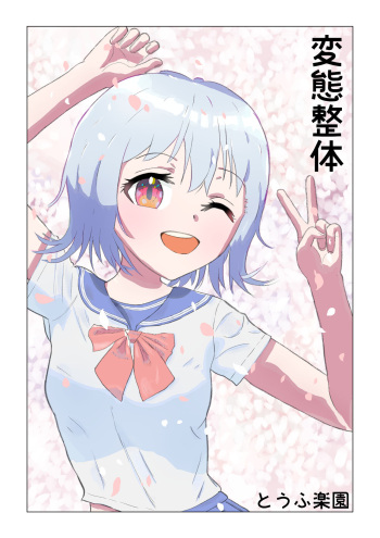 Hentai Seitai cover