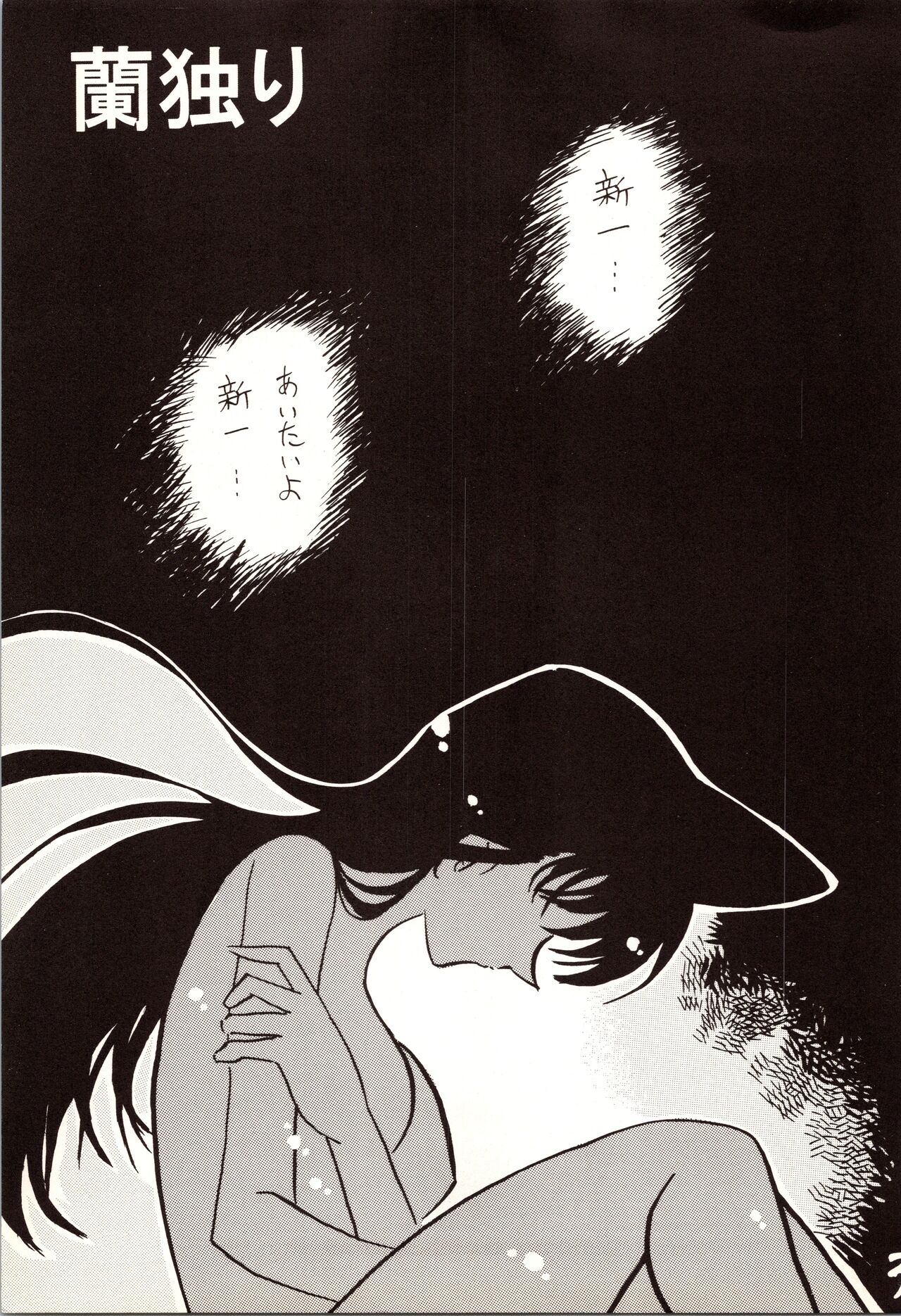 Meitantei DX page 3 full