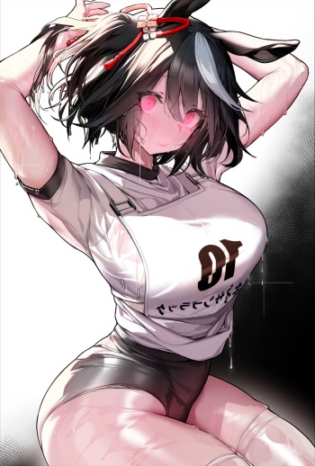 小罗XL-  2023.10.03 cover