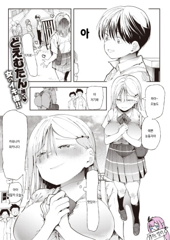 川中若菜物語 cover