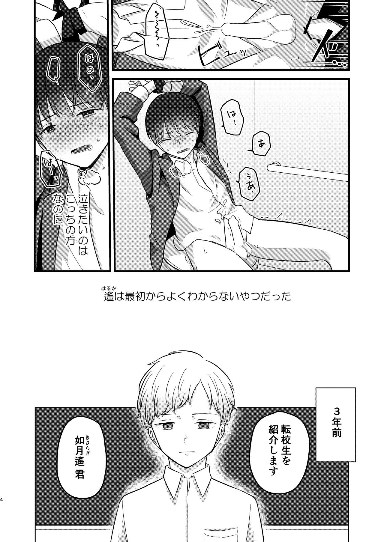 Caryopteris page 4 full