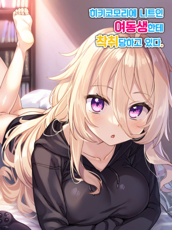 Hikikomori Neet no Imouto ni Sakushu sarete iru. cover