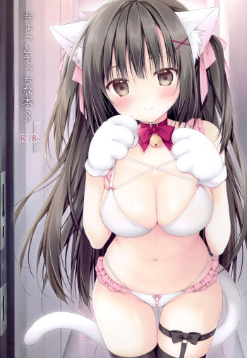 Chotto Ecchi na Hon 3 cover