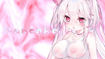 Pancake cover