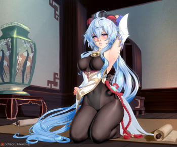 Genshin Impact collection cover
