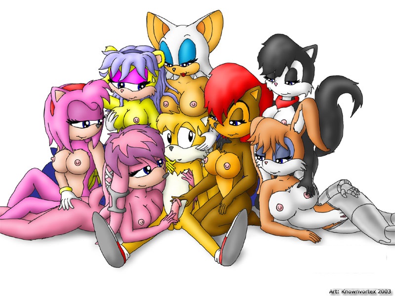 Sonic Harem page 1 full