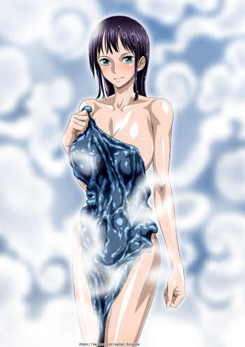 Nico Robin Collection cover