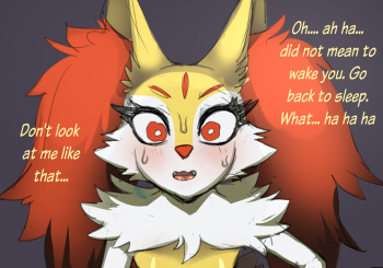 Braixen sleep invader cover