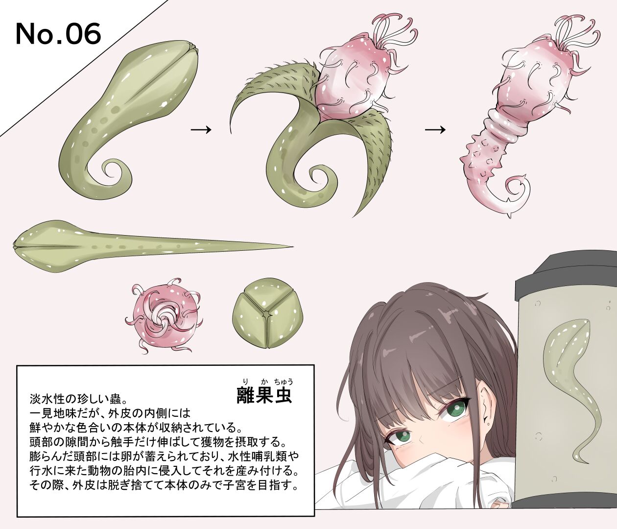 蟲研究レポート_No.06 page 1 full
