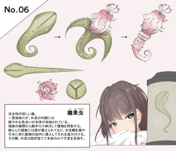 蟲研究レポート_No.06 cover