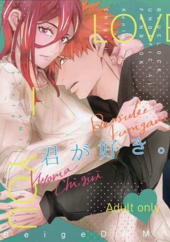 Kimi ga Suki. cover