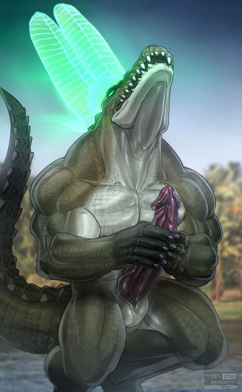 Sobek cover