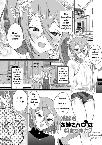 Kireina Onesan♂ wa Sukidesuka? | The beautiful big-sister next door cover