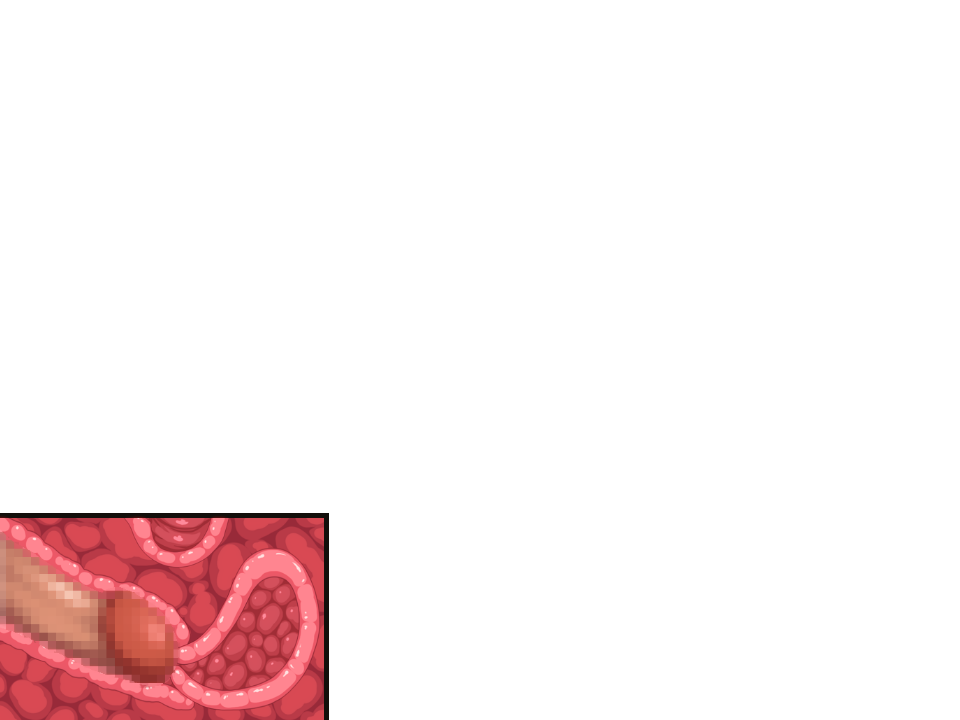 Hime Kishi Liana ~Mesubuta Hime no Inmon Choukyou~ page 10 full